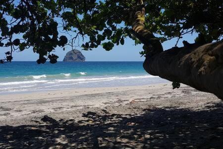 Le chant du Diamant calme vue mer et plage à 50 m Le Diamant Esterno foto